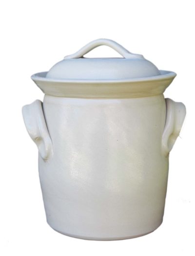 Lactofermentation