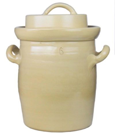 Lactofermentation